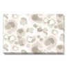 Home Rosanne Beck | Neutral Spot Cheetah Placemats